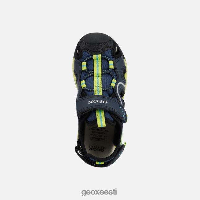 dk sinine/laim ZZ2TH21278 Geox borealis poiss