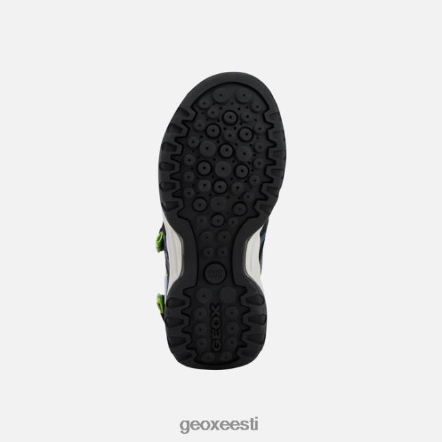 dk sinine/laim ZZ2TH21278 Geox borealis poiss