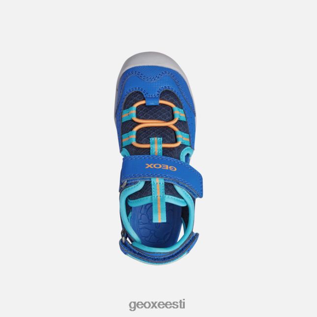 kuninglik/helesinine ZZ2TH21325 Geox vaniett poiss