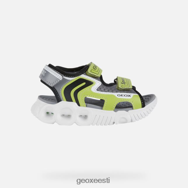 laim/must ZZ2TH21321 Geox sandaalipoiss