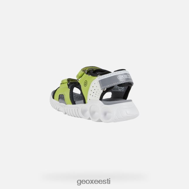 laim/must ZZ2TH21321 Geox sandaalipoiss