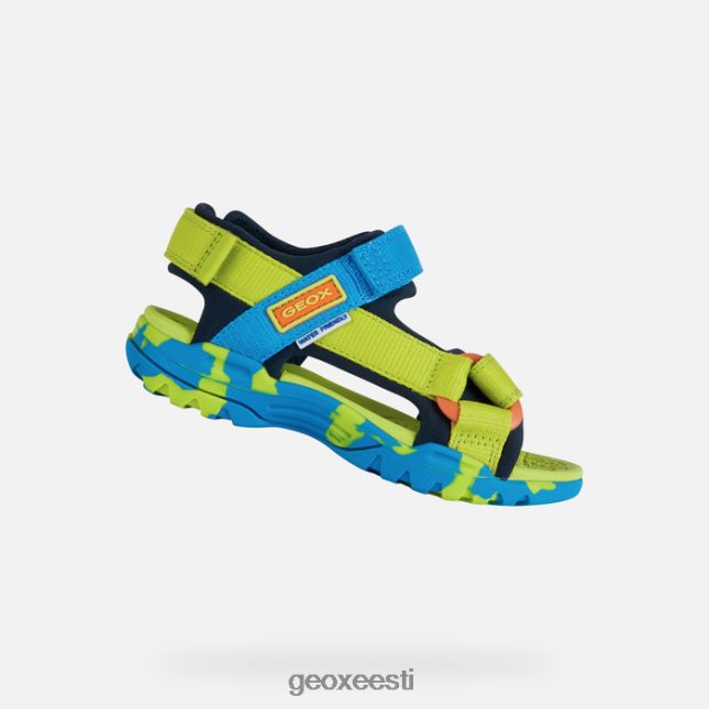 lubi/taevas ZZ2TH21962 Geox borealis poiss