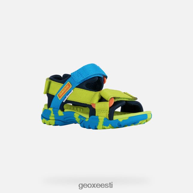 lubi/taevas ZZ2TH21962 Geox borealis poiss