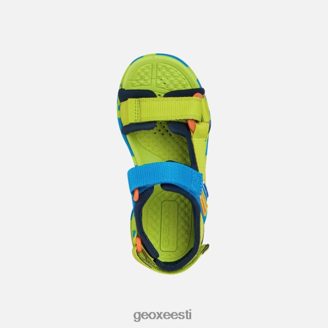 lubi/taevas ZZ2TH21962 Geox borealis poiss