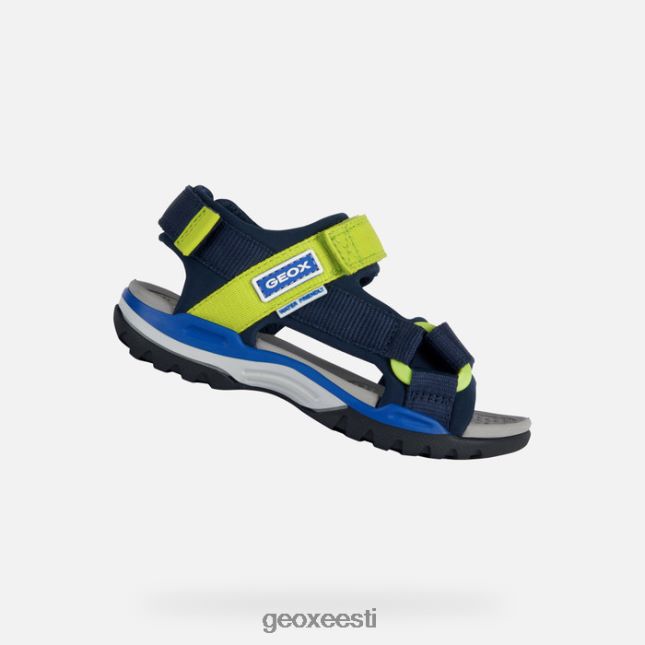 mere-/laimiroheline ZZ2TH21317 Geox borealis poiss