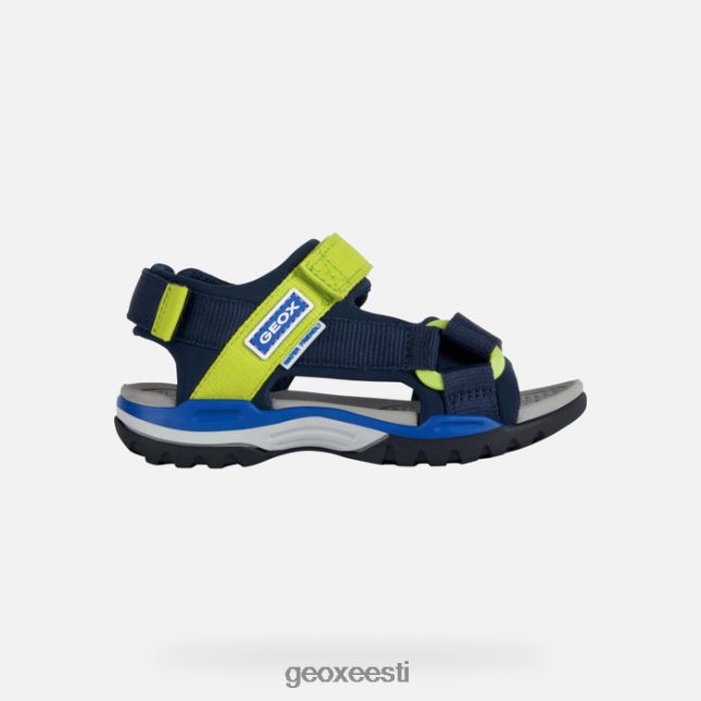 mere-/laimiroheline ZZ2TH21317 Geox borealis poiss