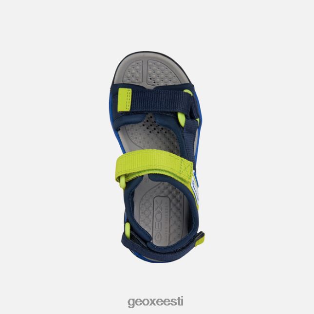 mere-/laimiroheline ZZ2TH21317 Geox borealis poiss