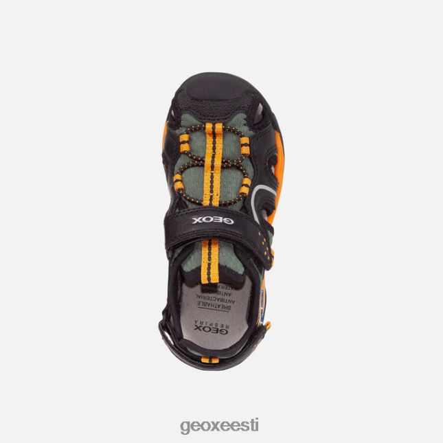 must/oranž ZZ2TH21277 Geox borealis poiss