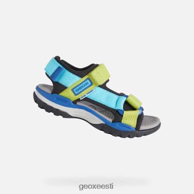 must/taevas ZZ2TH21316 Geox borealis poiss
