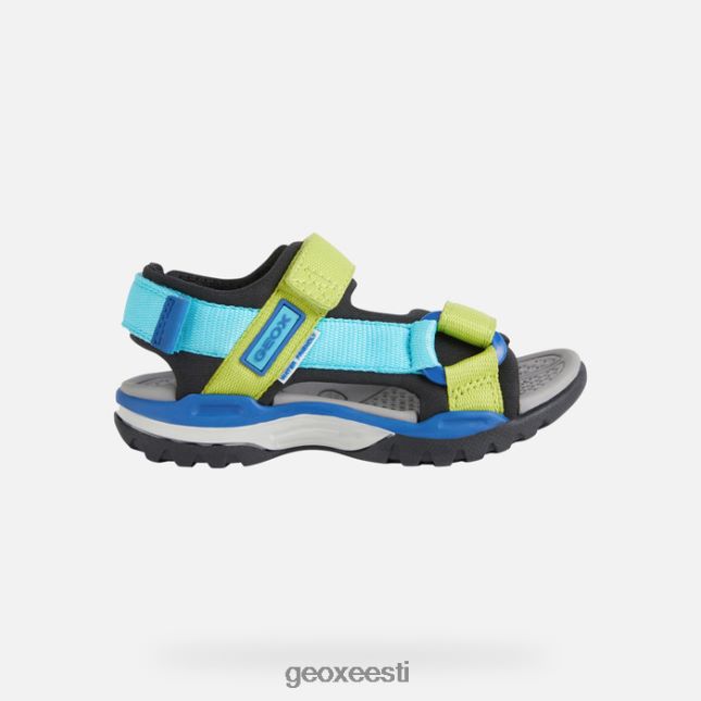 must/taevas ZZ2TH21316 Geox borealis poiss