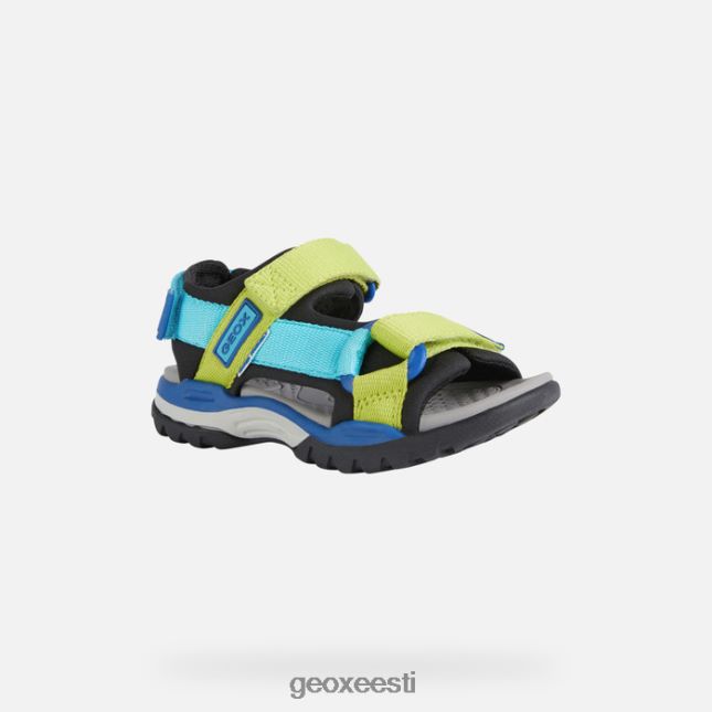 must/taevas ZZ2TH21316 Geox borealis poiss