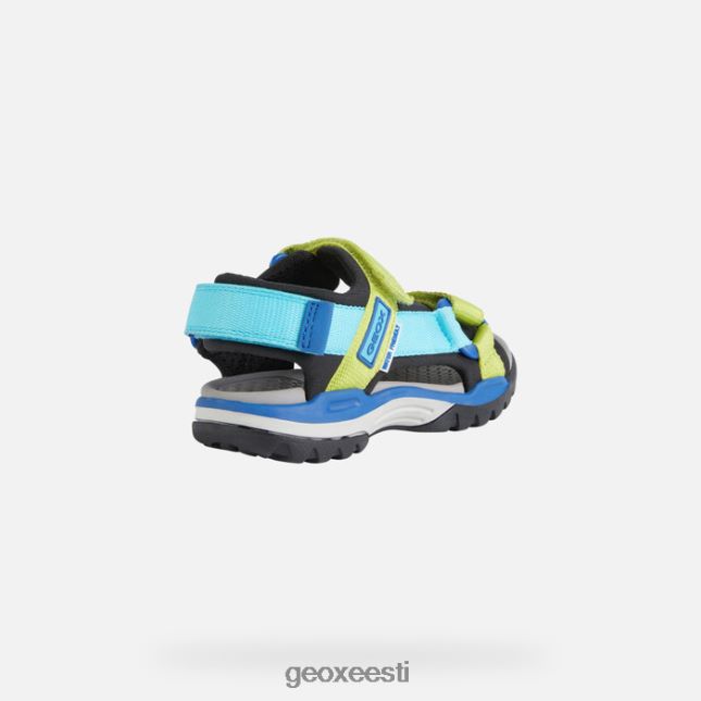 must/taevas ZZ2TH21316 Geox borealis poiss