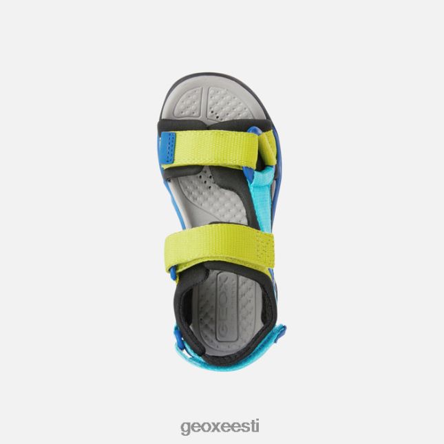 must/taevas ZZ2TH21316 Geox borealis poiss