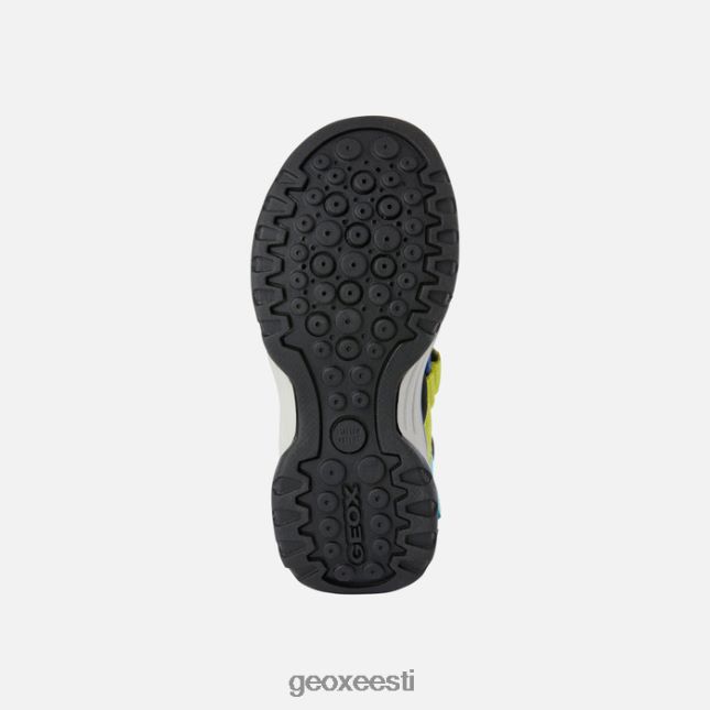 must/taevas ZZ2TH21316 Geox borealis poiss