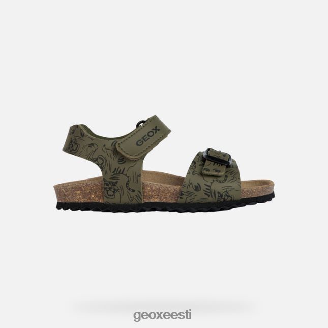 sõjaväe/must ZZ2TH21301 Geox gita poiss
