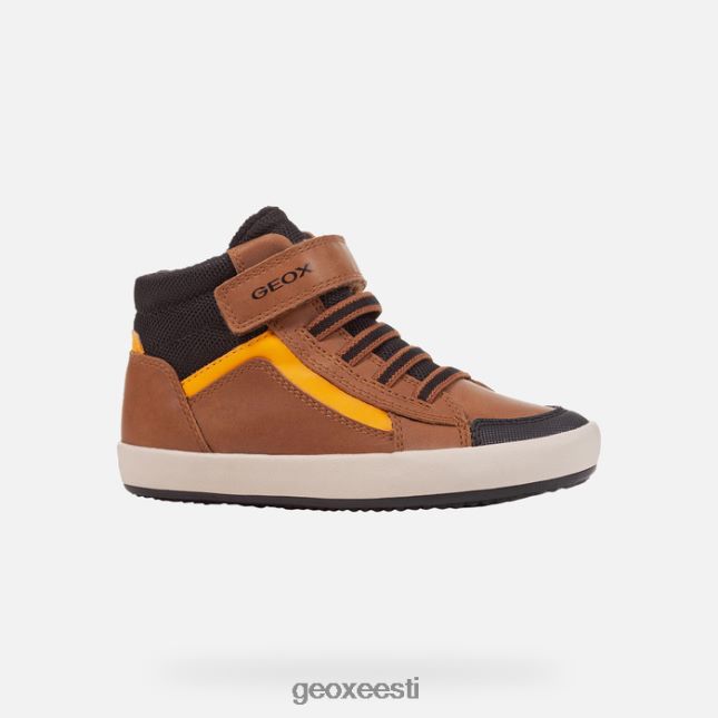See on pruun/must ZZ2TH21343 Geox gisli poiss