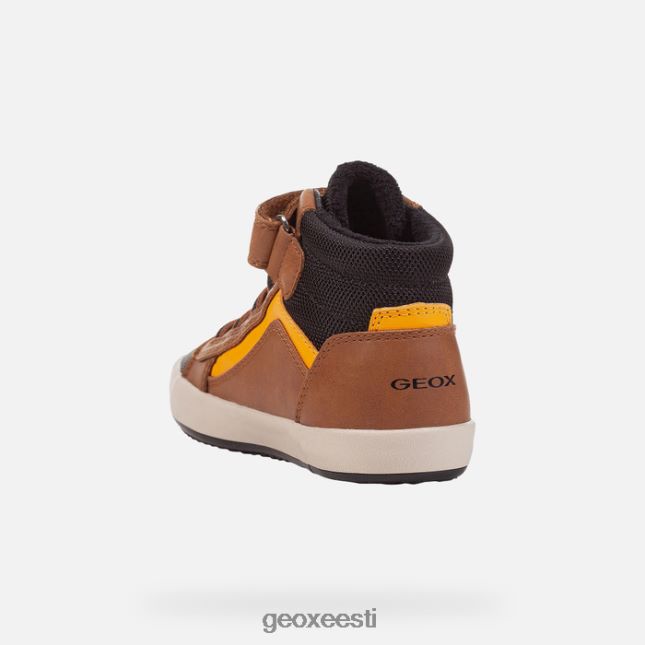 See on pruun/must ZZ2TH21343 Geox gisli poiss