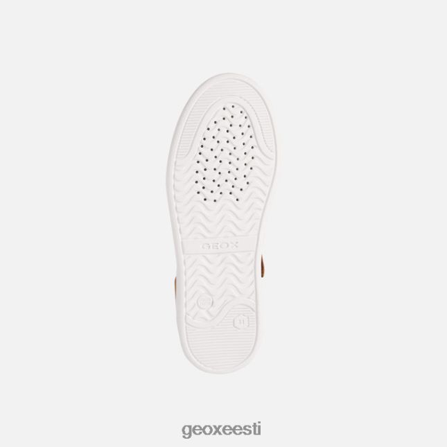konjak / merevägi ZZ2TH21383 Geox djrock poiss