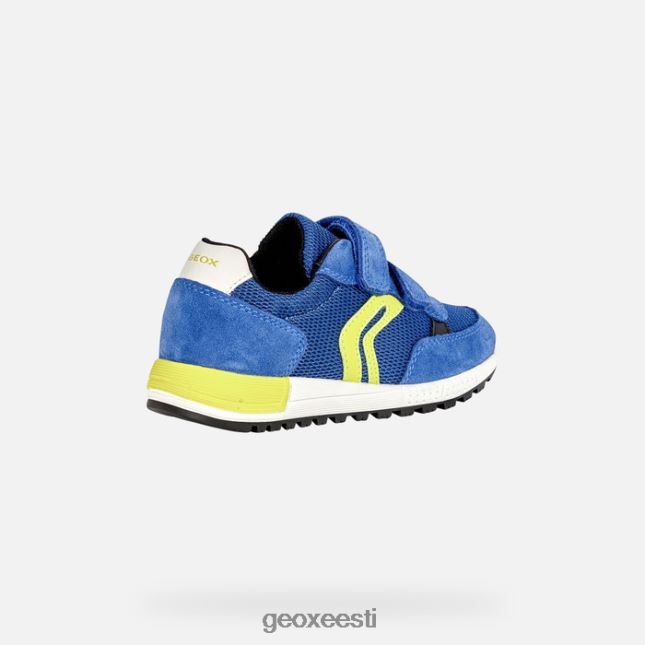 kuninglik/laim ZZ2TH21292 Geox alben poiss