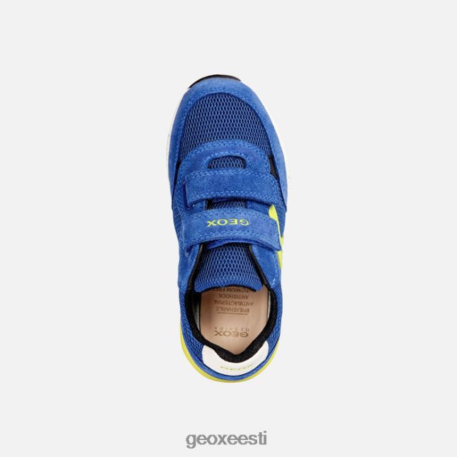 kuninglik/laim ZZ2TH21292 Geox alben poiss