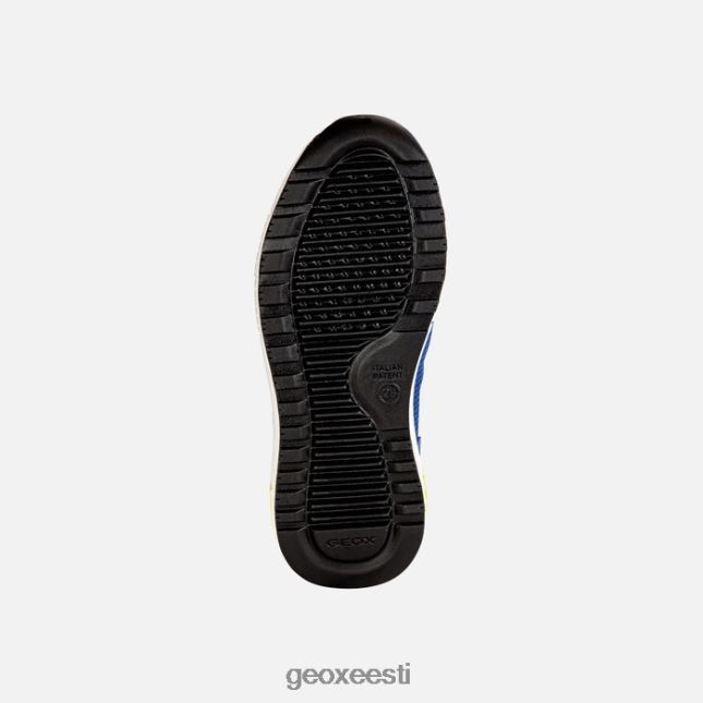 kuninglik/laim ZZ2TH21292 Geox alben poiss