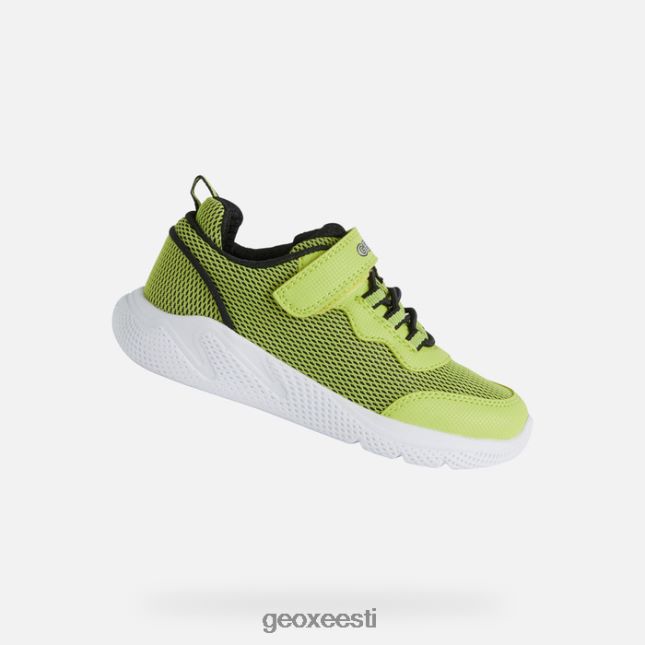 laim/must ZZ2TH21351 Geox sprintye juunior