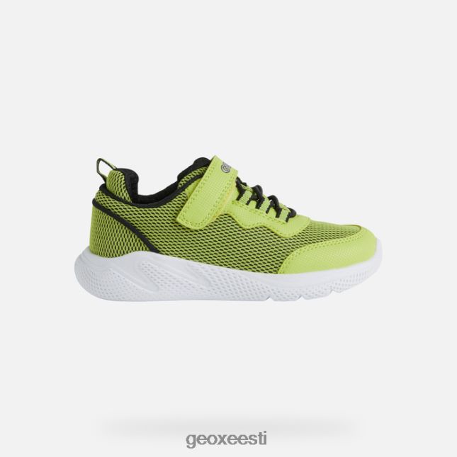 laim/must ZZ2TH21351 Geox sprintye juunior
