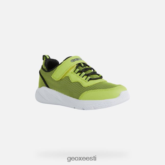laim/must ZZ2TH21351 Geox sprintye juunior