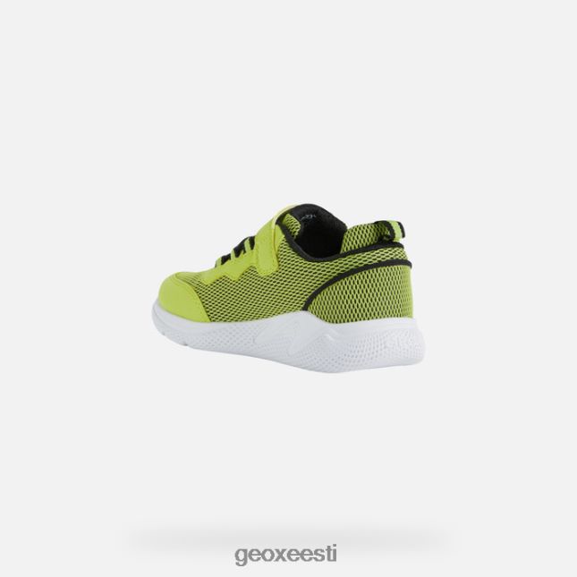 laim/must ZZ2TH21351 Geox sprintye juunior