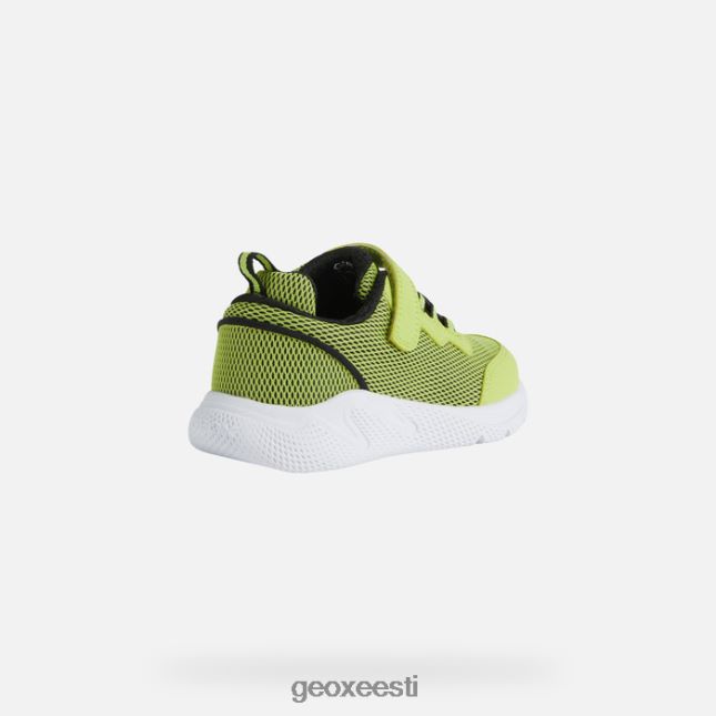 laim/must ZZ2TH21351 Geox sprintye juunior