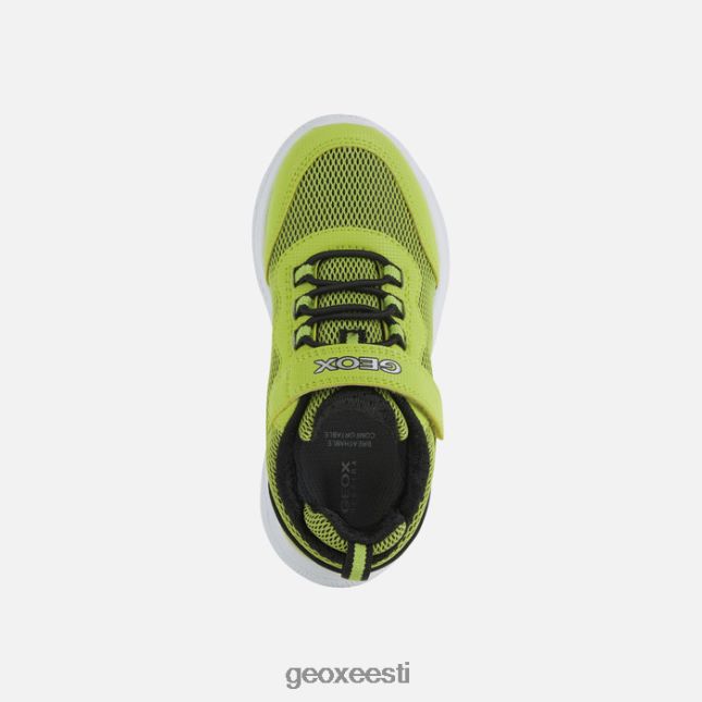 laim/must ZZ2TH21351 Geox sprintye juunior