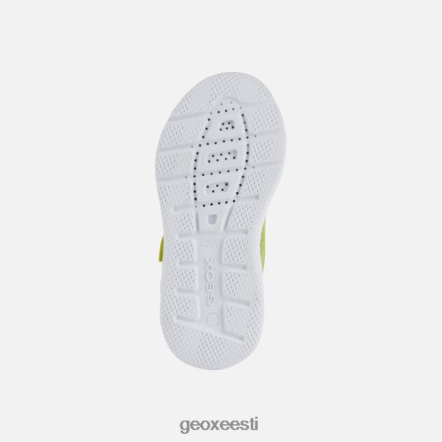 laim/must ZZ2TH21351 Geox sprintye juunior