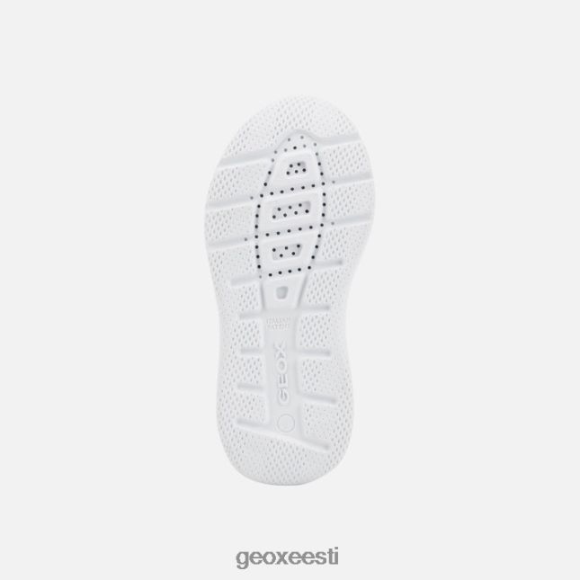 must ZZ2TH21037 Geox sprintye juunior