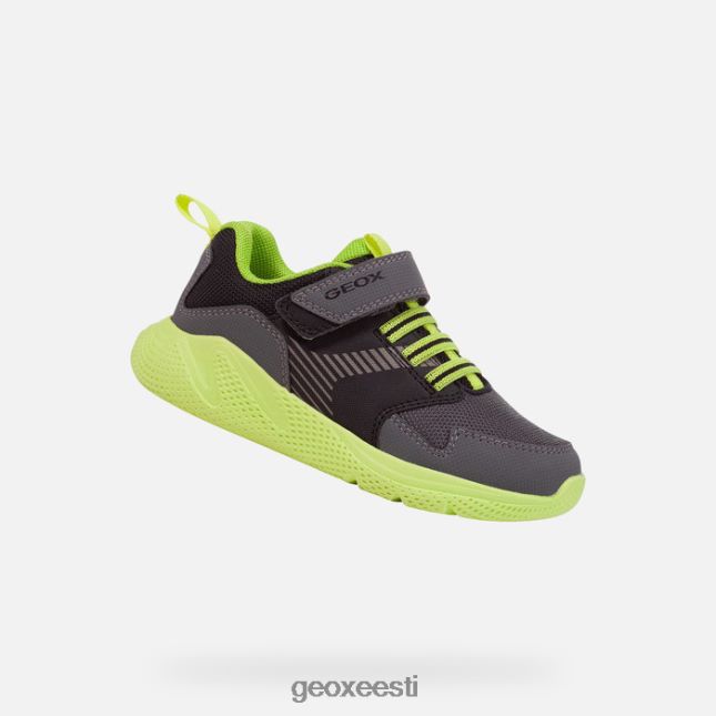 tumehall/laim ZZ2TH21311 Geox sprintipoiss