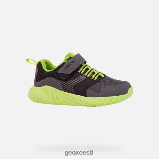 tumehall/laim ZZ2TH21311 Geox sprintipoiss