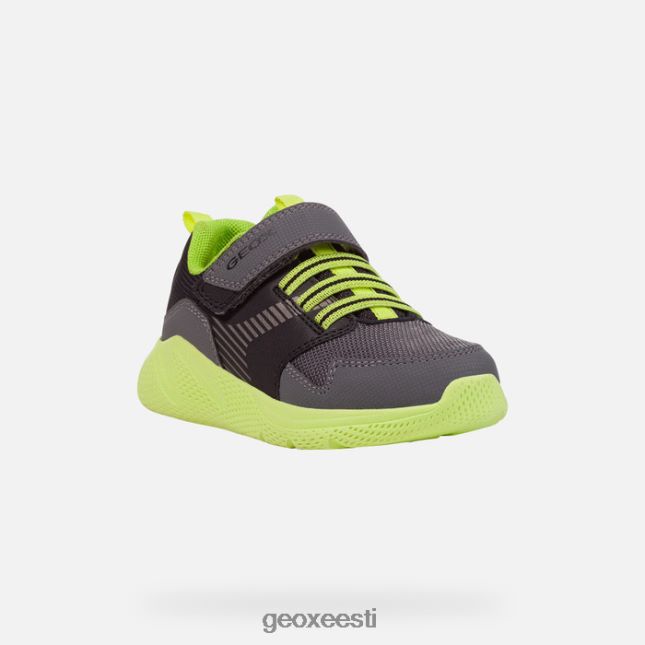 tumehall/laim ZZ2TH21311 Geox sprintipoiss