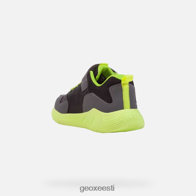 tumehall/laim ZZ2TH21311 Geox sprintipoiss