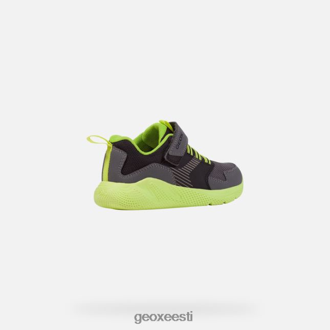 tumehall/laim ZZ2TH21311 Geox sprintipoiss