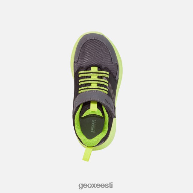 tumehall/laim ZZ2TH21311 Geox sprintipoiss