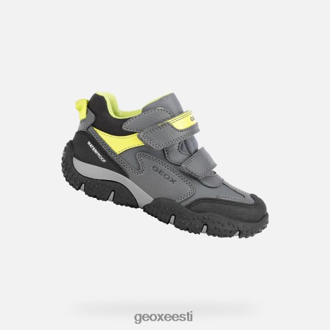 tumehall/laim ZZ2TH21413 Geox balti poiss