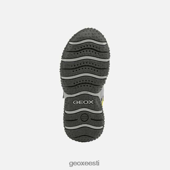 tumehall/laim ZZ2TH21413 Geox balti poiss