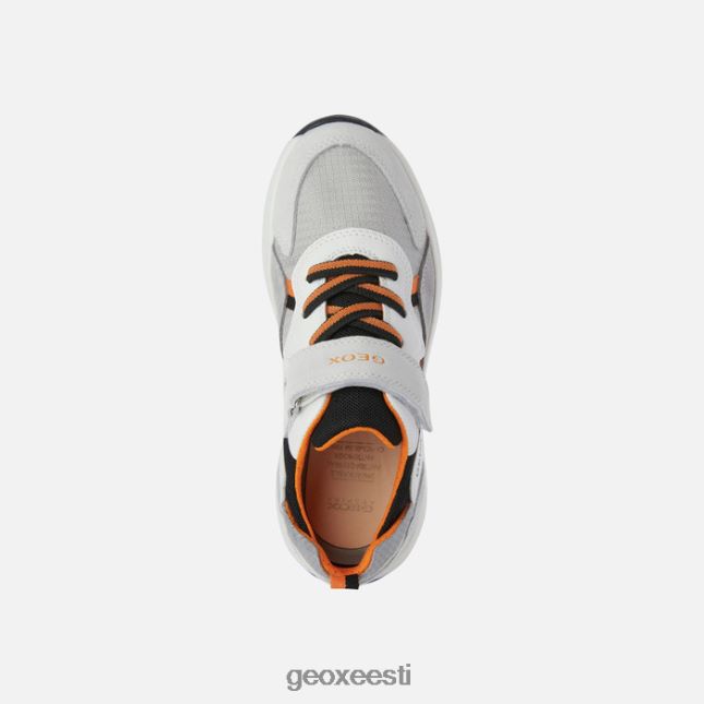 valge ZZ2TH21393 Geox briesee poiss
