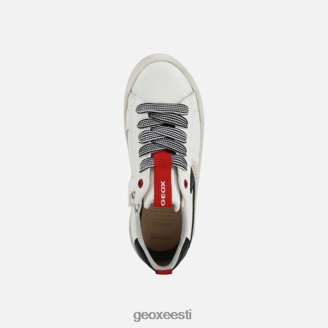 valge/punane ZZ2TH21392 Geox alonisso poiss
