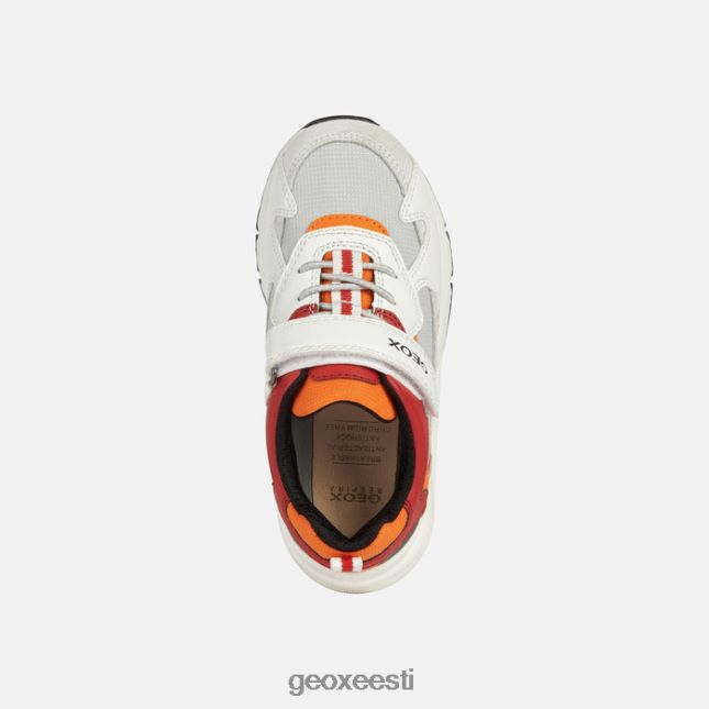 valge/punane ZZ2TH21976 Geox rooner poiss
