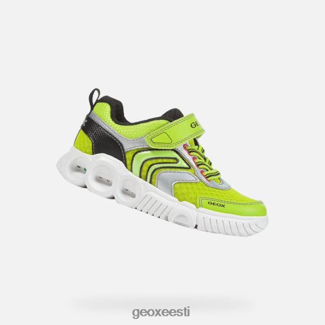 laim/must ZZ2TH21382 Geox toapoiss