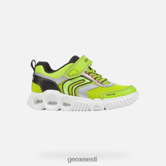 laim/must ZZ2TH21382 Geox toapoiss