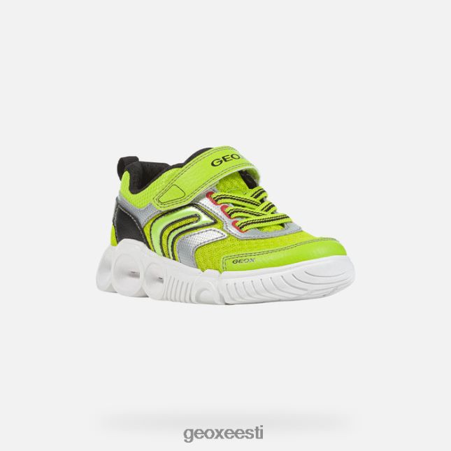 laim/must ZZ2TH21382 Geox toapoiss