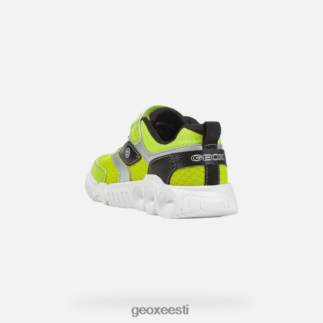 laim/must ZZ2TH21382 Geox toapoiss