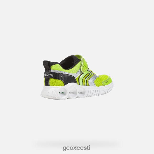 laim/must ZZ2TH21382 Geox toapoiss