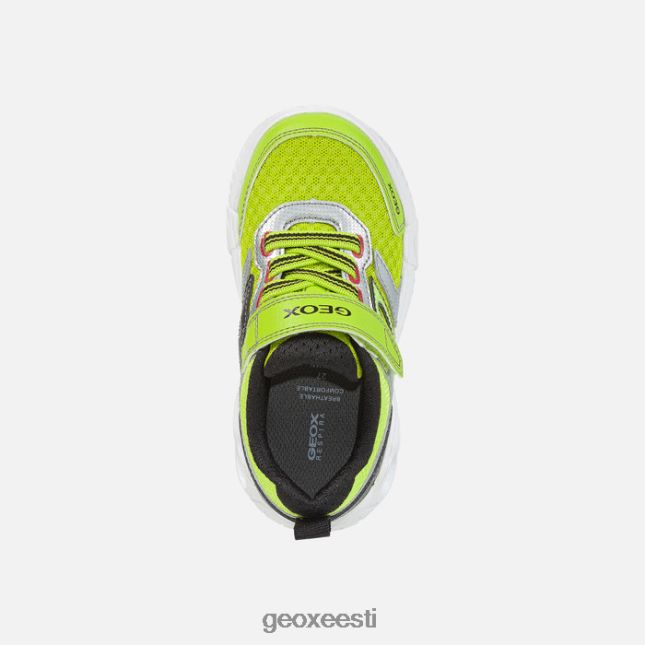 laim/must ZZ2TH21382 Geox toapoiss